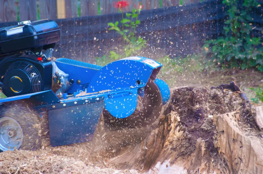The Role of Stump Removal in Preventing Trip Hazards McKees Rocks, PA