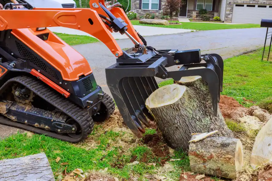 Understanding When Tree Removal Service Is Necessary McKees Rocks, PA