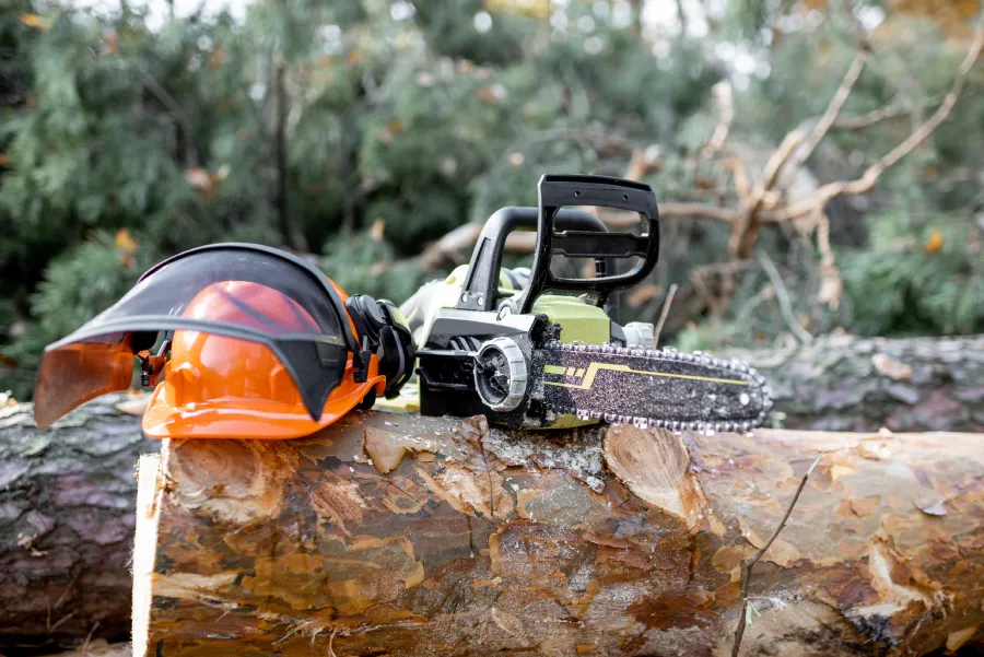 Excellent Tree Removal Service in McKees Rocks, PA