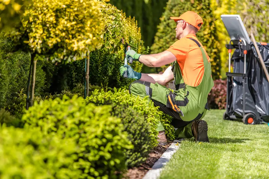Expert Shrub Trimming in McKees Rocks, PA