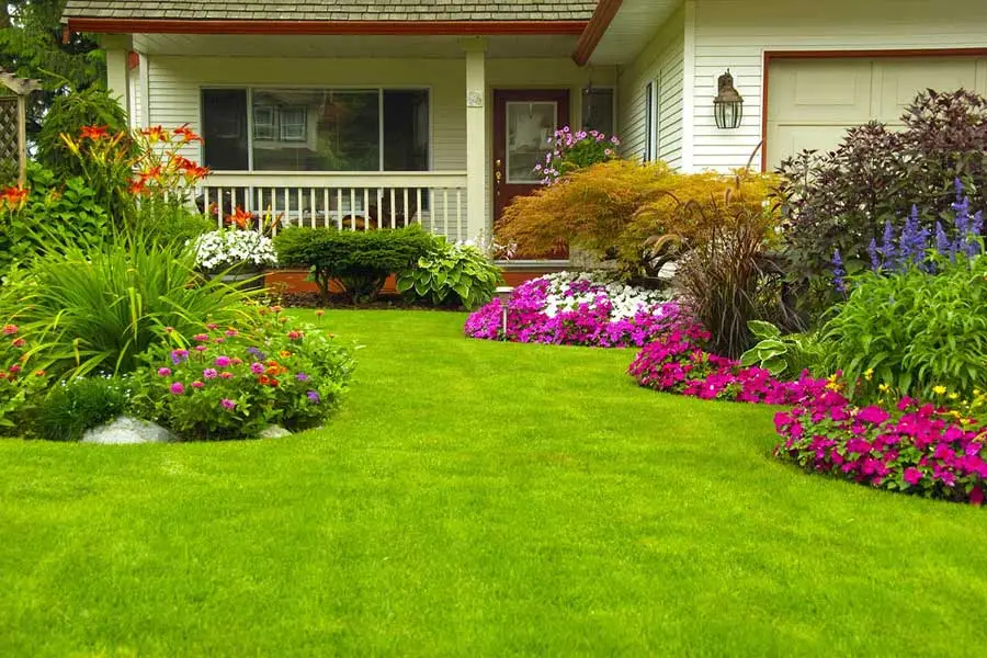 How Regular Shrub Trimming Enhances Curb Appeal McKees Rocks, PA