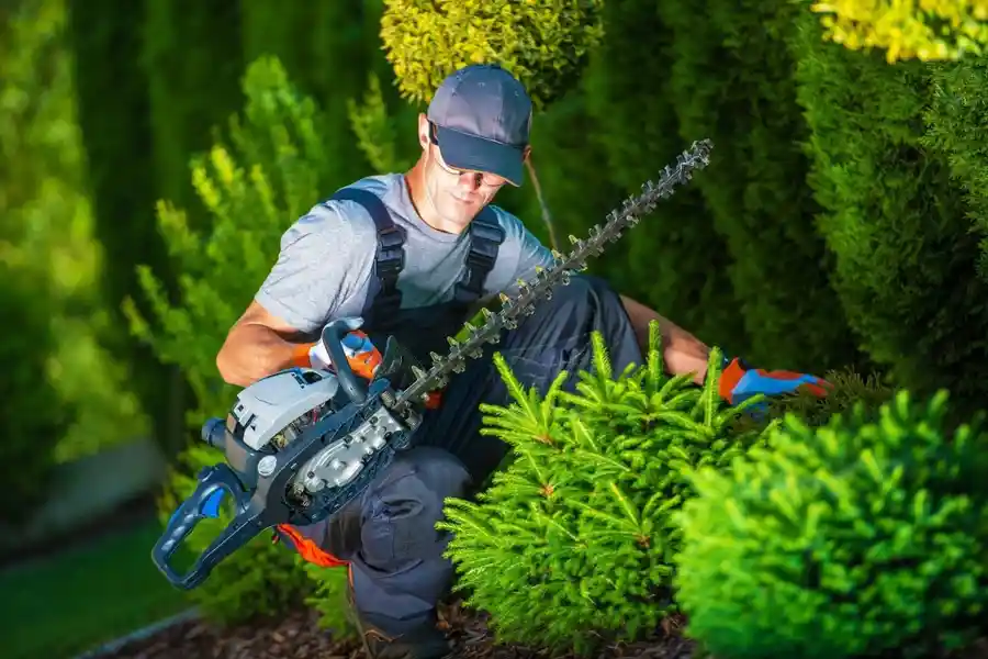 Outstanding Shrub Trimming in McKees Rocks, PA