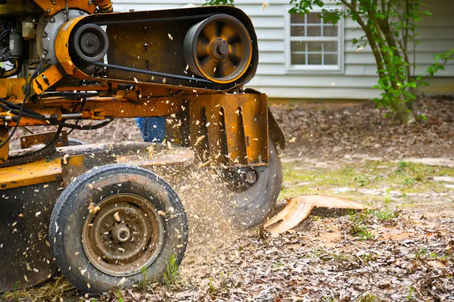 Professional Stump Grinding Service in McKees Rocks, PA Professional Stump Grinding Service in McKees Rocks, PA